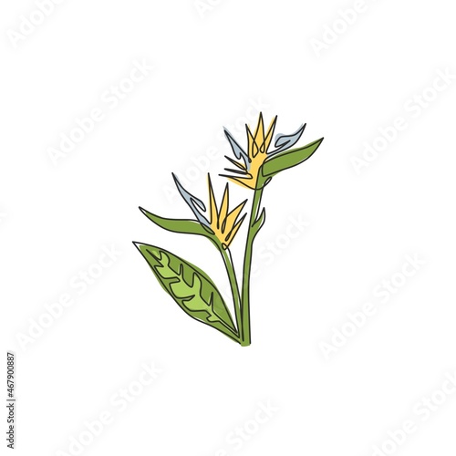 One continuous line drawing beauty fresh strelitzia for home art wall decor poster print. Decorative bird of paradise flower concept for green park. Modern single line draw design vector illustration