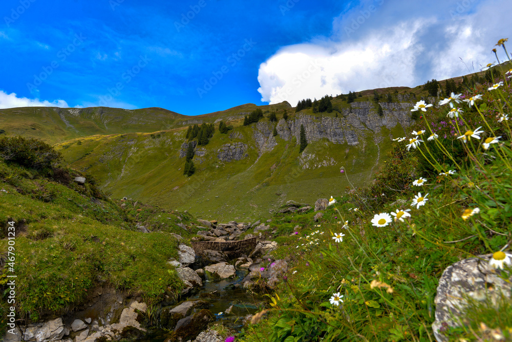 Fototapeta premium Sünser See und Sünserbach in Dornbirn - Vorarlberg