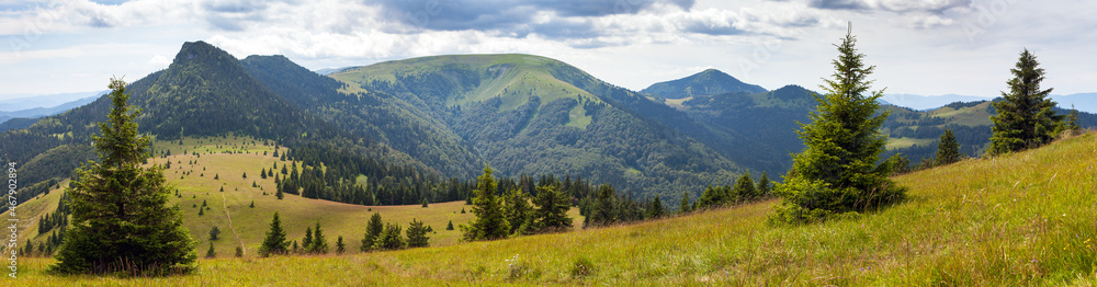 Velka fatra mountain panoramic Carpathian mountains Velka fatra mountain panoramic Carpathian mountains