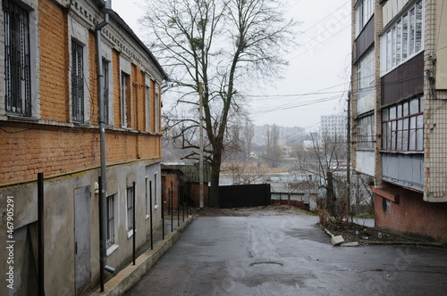 old town street with tree and houses