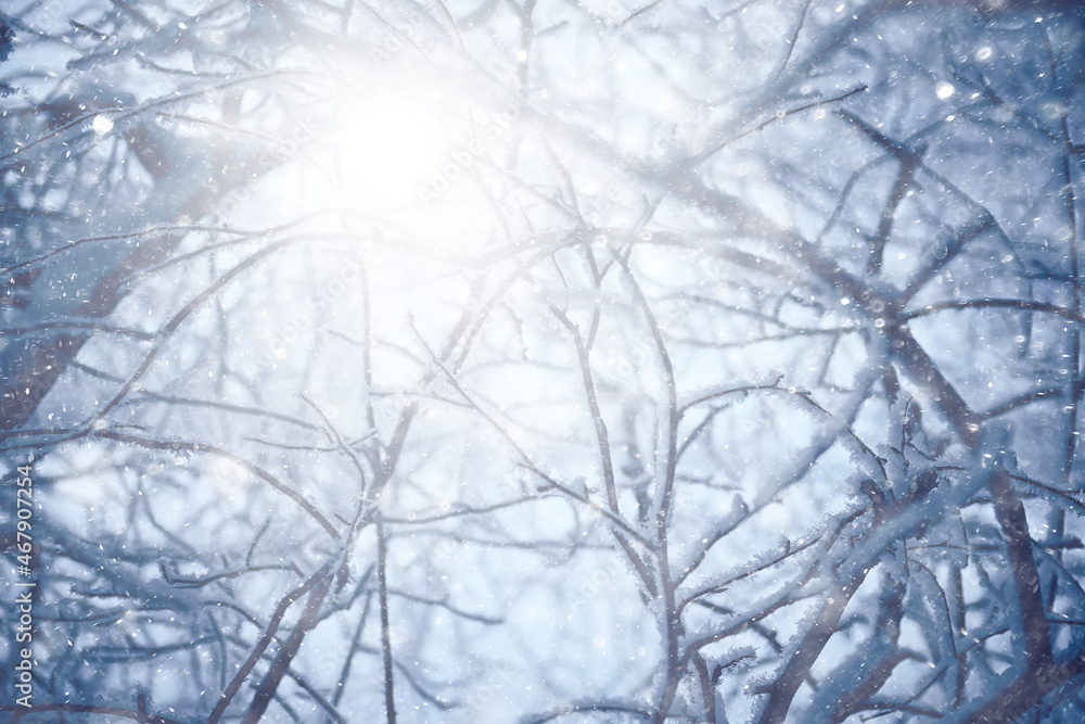 winter background snowfall trees abstract blurred white winter background snowfall trees abstract blurred white