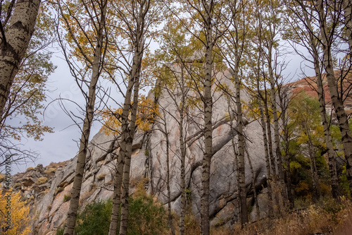 Autumn forest with rock on background. Fall nature tree background. Beautiful forest. Dzungarian Alatau in Kazakhstan. Tourism, travel concept.