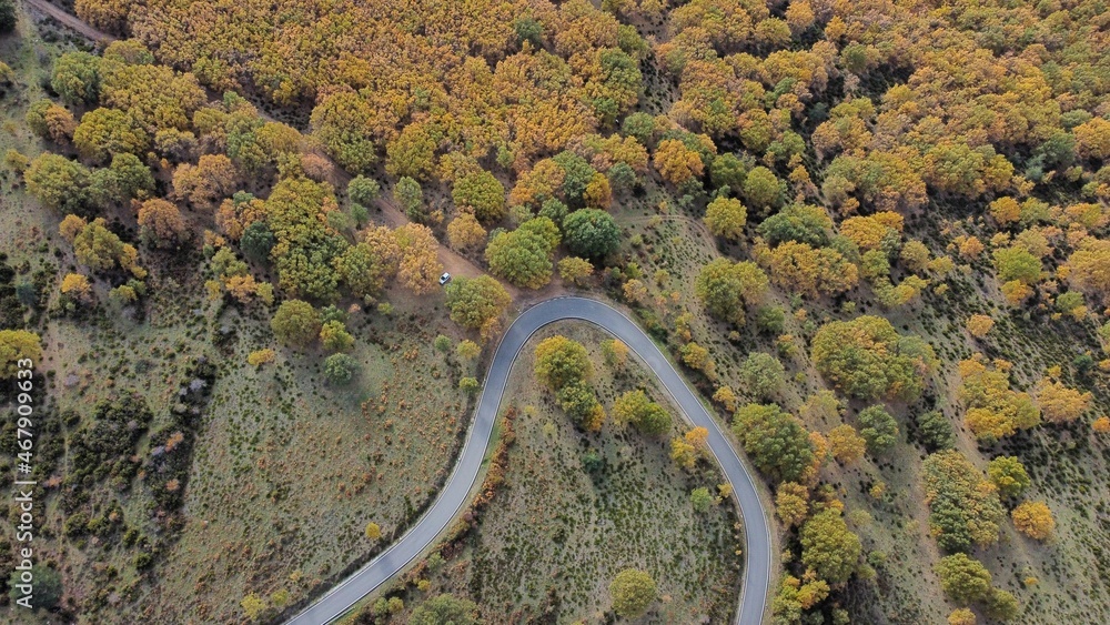 view of the road in an autumn landscape view of the road in an autumn landscape