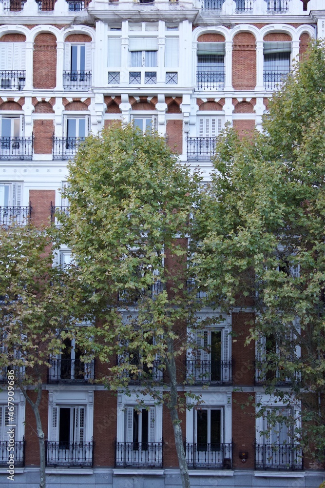 Naklejka premium Building facade with autumn colors