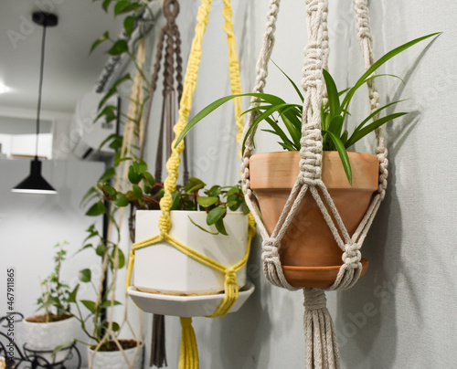macrame pendants for flowers on the wall