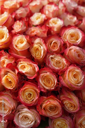 Bouquet of orange roses