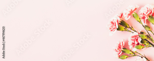 Fresh spring flowers on pink background