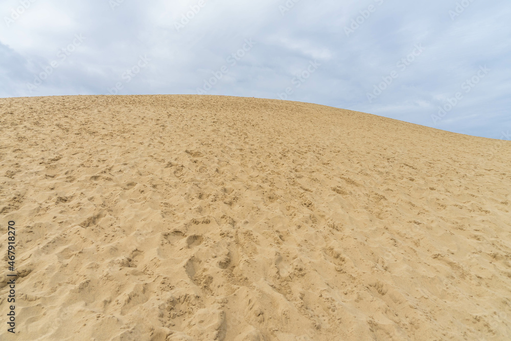 Naklejka premium 鳥取砂丘