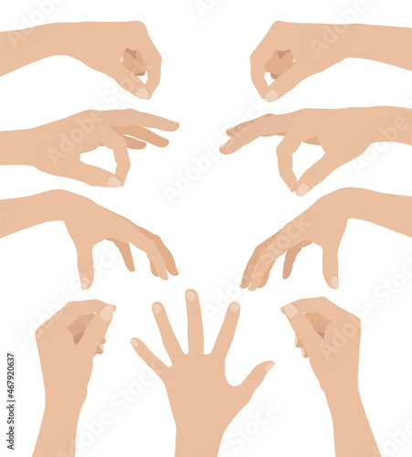 Set of Woman hands on white background, flat design vector illustration