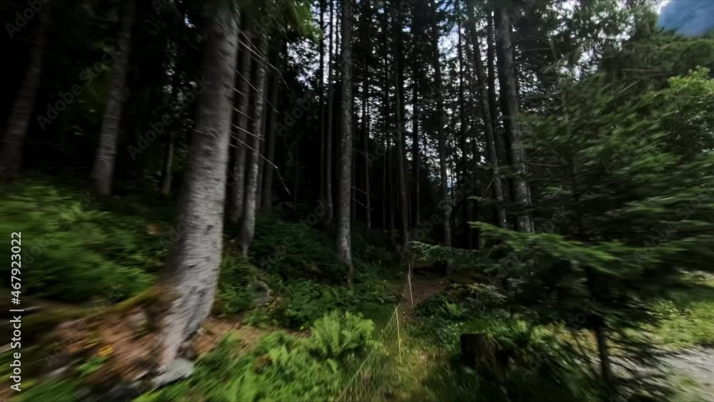 Drohnenflug durch den Wald in den Bergen Drohnenflug durch den Wald in den Bergen