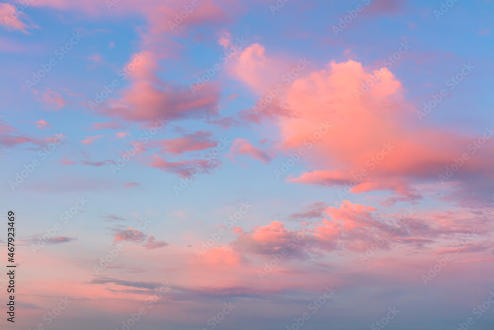Pink clouds in sunset blue sky. Pastel colors of clouds, sunrise