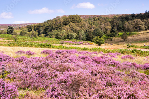 Peak District in the Pink.