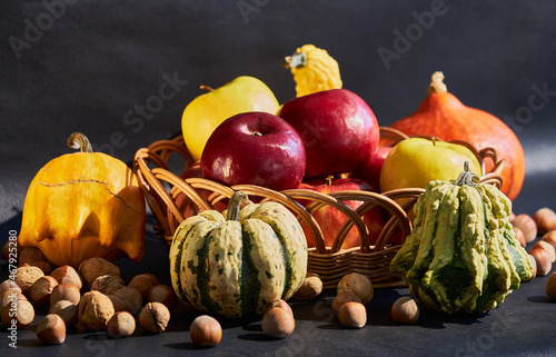Still-life. Autumn harvest. Colorful pumpkins, nuts, apples are red, yellow in a basket on a black background.