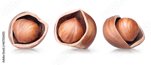 Hazelnut isolated on white background. Collection of three cracked filbert nuts