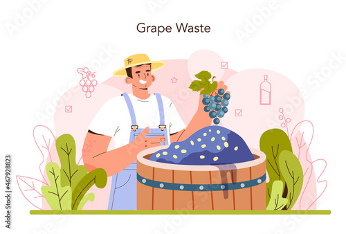 Wine production. Grape selection and processing. Grape berries