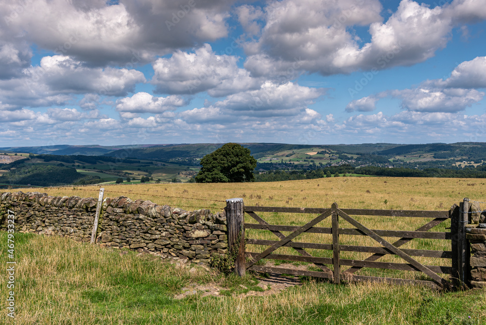 landscape with fence and blue skies and clouds, farming scene in the UK