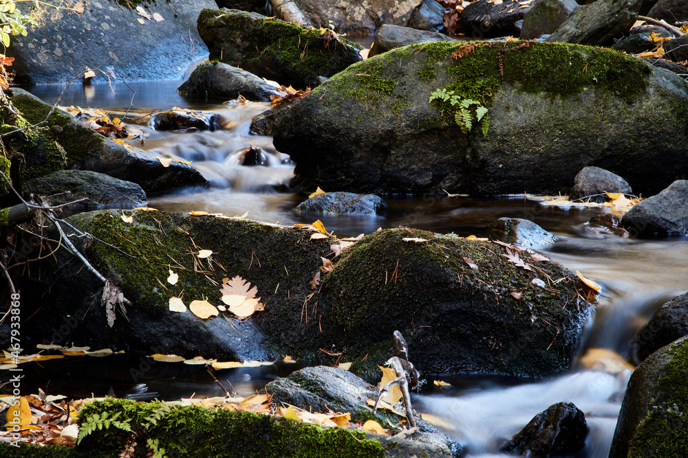 Small mountain stream flows between wet rocks Small mountain stream flows between wet rocks