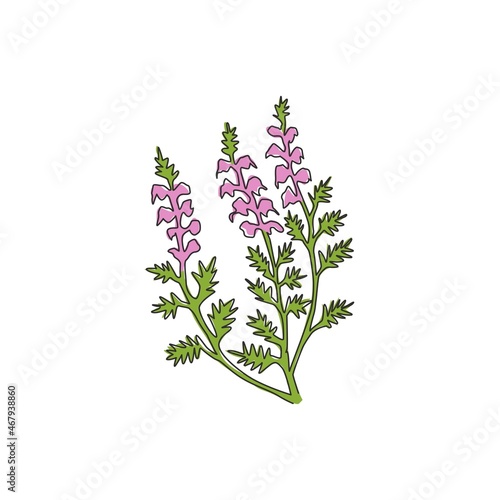 One continuous line drawing of beauty fresh common heather for home decor wall art poster print. Decorative calluna vulgaris flower for invitation card. Single line draw design vector illustration