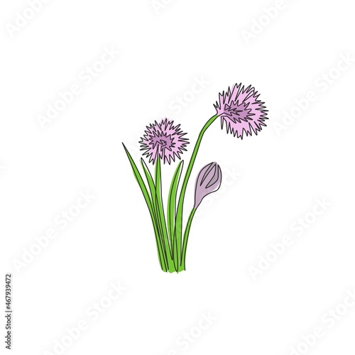 Single one line drawing of beauty fresh allium tuberosum for garden logo. Decorative chives flower concept for home wall decor art poster print. Modern continuous line draw design vector illustration