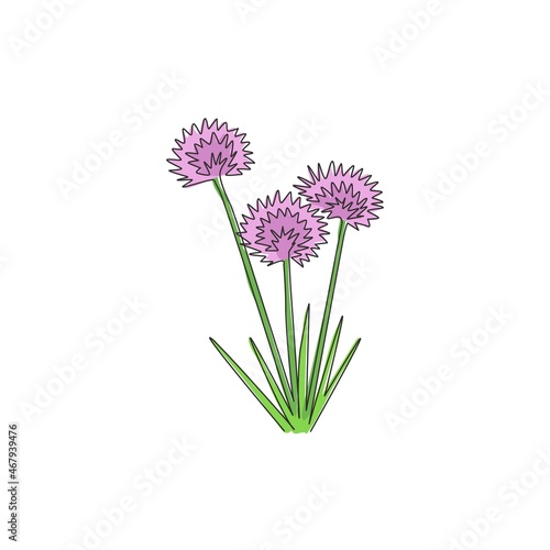 One continuous line drawing beauty fresh allium tuberosum for home wall decor poster art print. Decorative oriental garlic chives flower for greeting card. Single line draw design vector illustration