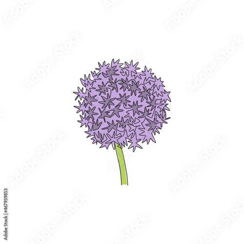 One continuous line drawing beauty fresh allium globemaster for home art wall decor poster print. Decorative giant onion flower concept for greeting card. Single line draw design vector illustration photo