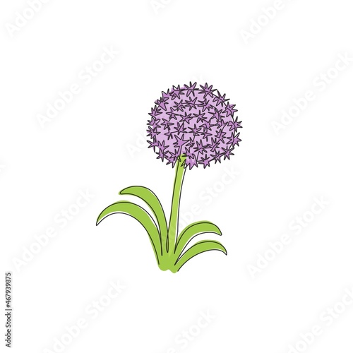 Single continuous line drawing beauty fresh allium giganteum for home decor wall art poster print. Decorative globemaster flower for floral card frame. Modern one line draw design vector illustration