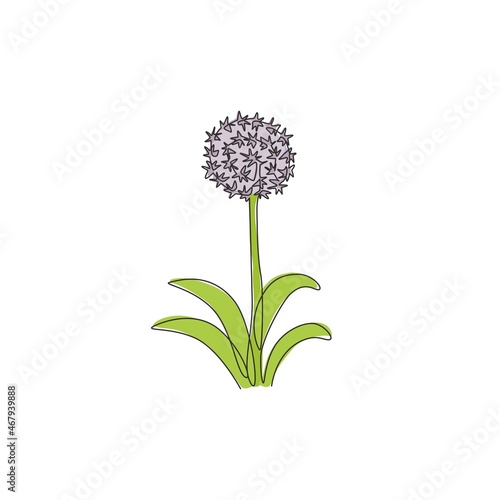 Single one line drawing of beauty fresh allium giganteum for garden logo. Decorative giant onion flower concept home decor wall art poster print. Modern continuous line draw design vector illustration
