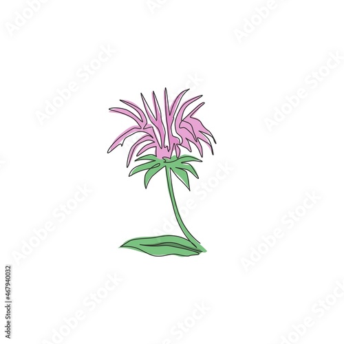 Single continuous line drawing of beauty fresh monarda for garden logo. Decorative horsemint oswago tea flower concept for floral invitation card frame. Modern one line draw design vector illustration