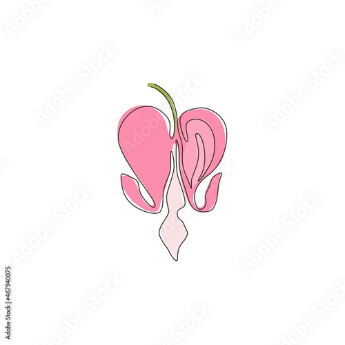 Single one line drawing beauty lamprocapnos spectabilis for garden logo. Decorative bleeding heart flower for home art wall decor poster print. Modern continuous line draw design vector illustration