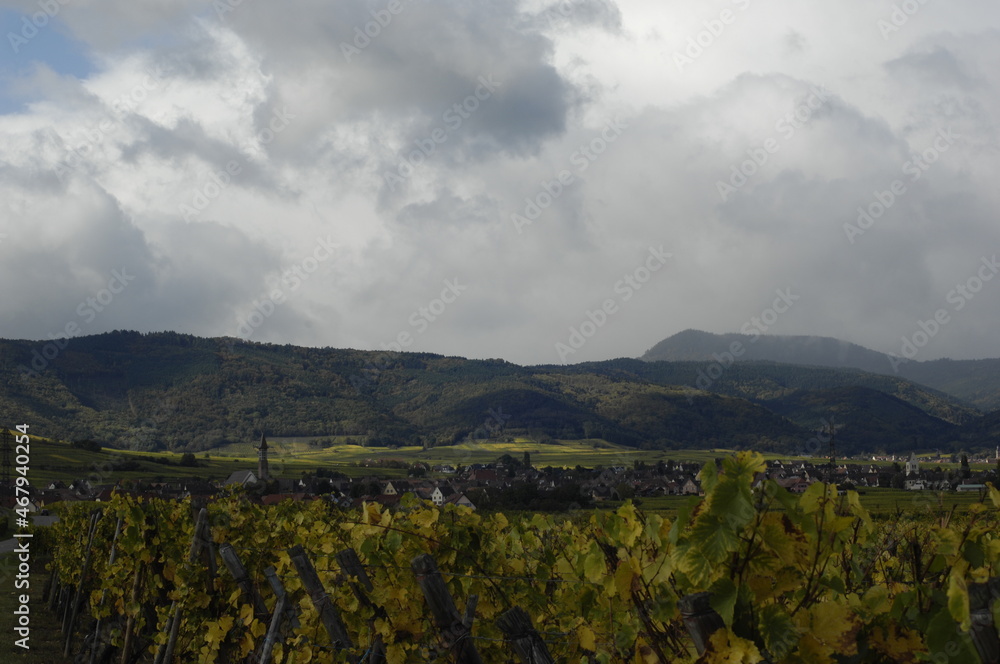 Fototapeta premium Mountains in Alsace