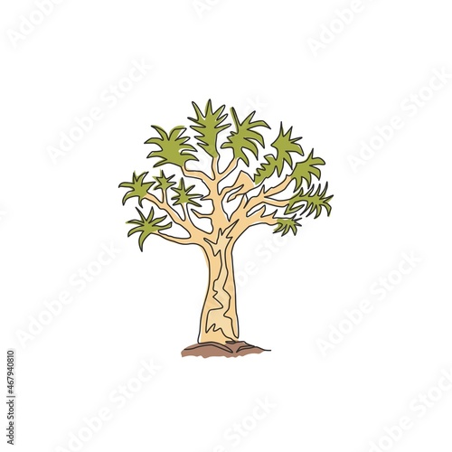 Single continuous line drawing of quiver tree forest. Decorative aloidendron dichotomum tree for national park. Tourist and travel vacation concept. Modern one line draw design vector illustration