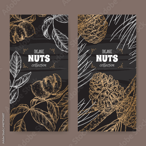 Set of two labels with Juglans regia aka walnut tree and Pinus pinea aka stone pine branch sketch on black.