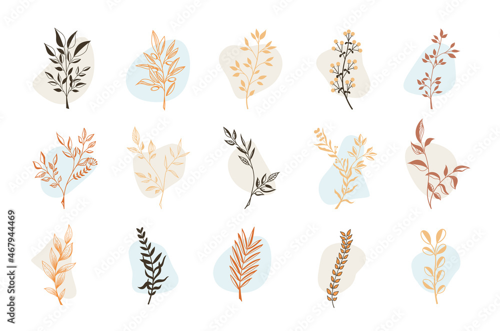 Vector illustration, linear twigs, outlines of petals with colored delicate abstract elements, isolated on a white background. Set Vector illustration, linear twigs, outlines of petals with colored delicate abstract elements, isolated on a white background. Set