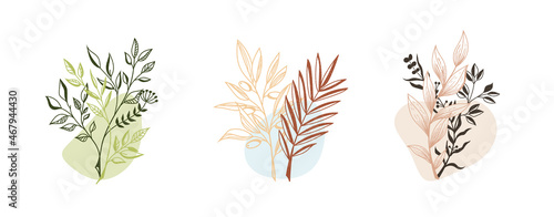 Vector illustration, linear twigs with colored delicate abstract elements, isolated on a white background.
