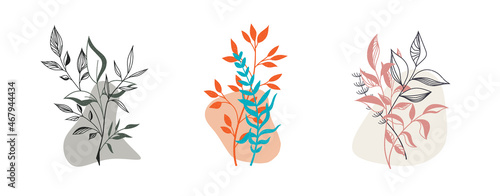 Vector illustration, linear twigs with colored delicate abstract elements, isolated on a white background.