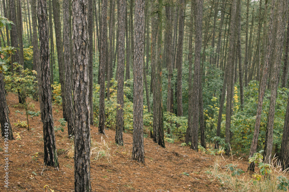 Obraz premium Exploring the city of Brno, hidden corners