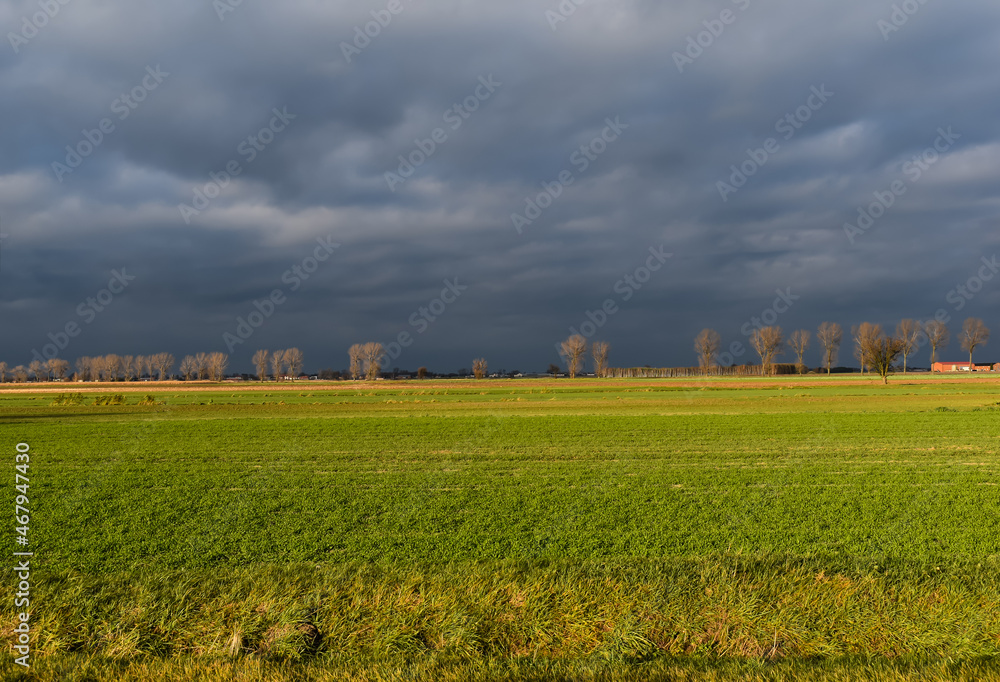 Zielone pola na wsi i zachmurzone niebo.