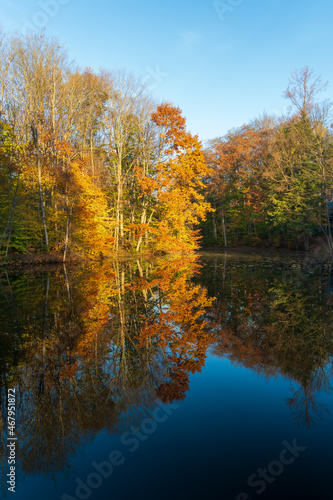 Pond in Radisson Community at Baldwinsville  New York during Autumn