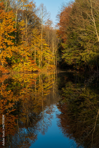 Pond in Radisson Community at Baldwinsville, New York during Autumn photo