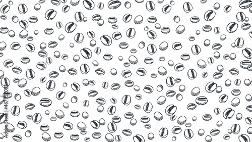 Coffee bean pattern. Hand drawn coffee beans vector. Sketch of coffee beans. 