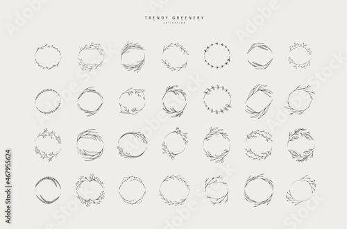 Set of inimal feminine botanical floral branch and logo. Hand drawn wedding herb, homeplant with elegant leaves. Botanical rustic trendy greenery vector