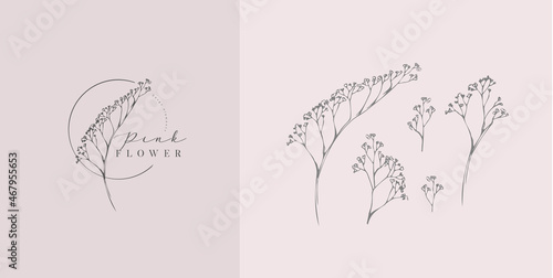Set of inimal feminine botanical floral branch and logo. Hand drawn wedding herb, homeplant with elegant leaves. Botanical rustic trendy greenery vector