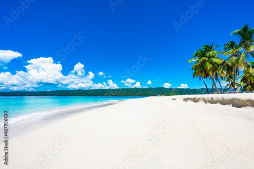Fototapeta Naklejka Na Ścianę i Meble -  Palm Ocean Sky Paradise