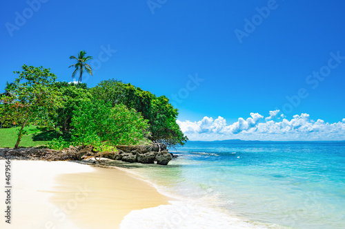 Palm Ocean Sky Paradise