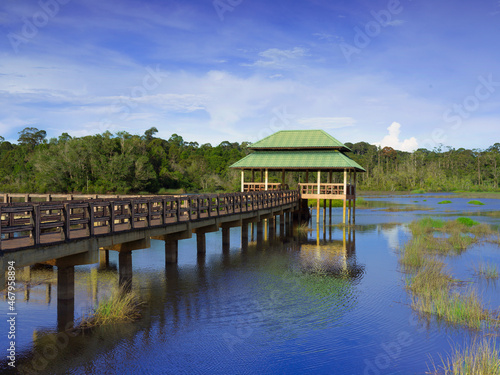 Lalak Lake park in Labi, Brunei