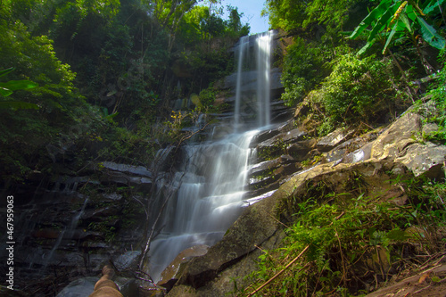 waterfall in the forest