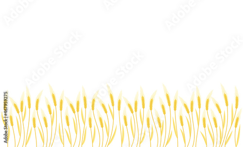 Spikelet of wheat field. Rural landscape. Agriculture cereal harvest. Dry grass meadow. Vector illustration.