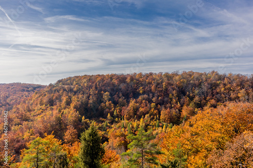 Herbstspaziergang rund um die Wartburgstadt Eisenach am Rande des Thüringer Waldes - Thüringen © Oliver Hlavaty