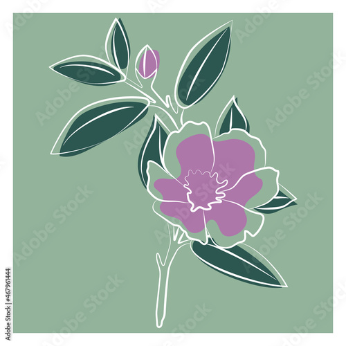 Indoor plant gardenia jasmine. Vector illustration of a flower. 