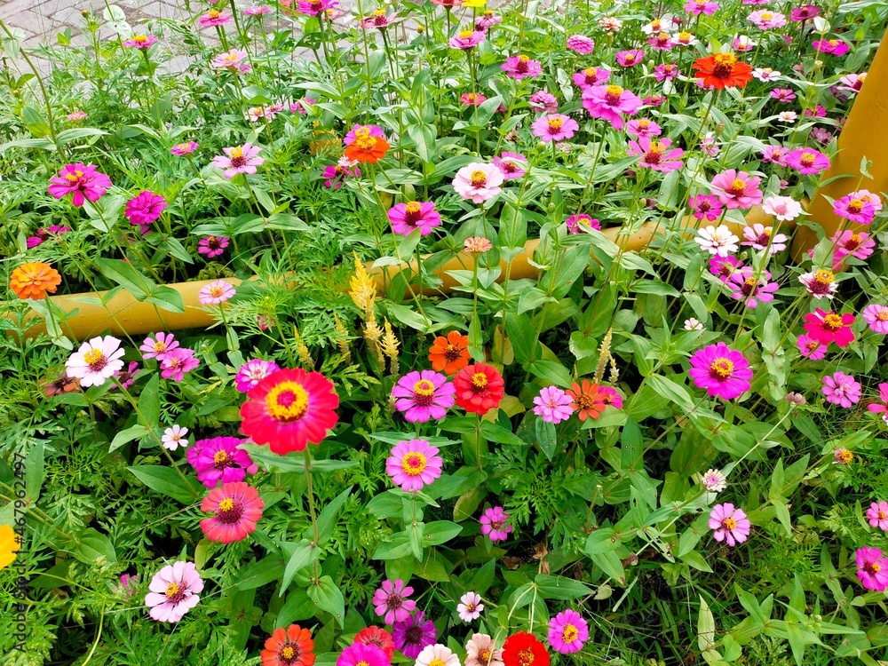 Naklejka premium hundreds of colorful paper flowers